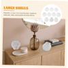 NUOBESTY 10-Piece Large Natural Scallop Shells for Crafts, Cooking, Baking, and Decoration view 3