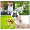 Anti-Slip Dog Socks - 2 Pairs view 4