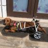 Adjustable 4-Wheel Dog Wheelchair, Mobility Aid for Small, Medium, and Large Dogs (XXS) view 3