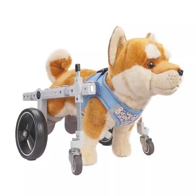 Adjustable Dog Wheelchair for Mobility Support, Medium