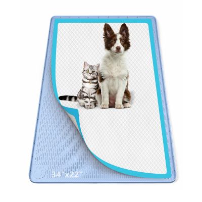 Bartuke 86 x 56 cm Silicone Dog Urine Catcher Mat with Raised Edge, Puppy Toilet, Blue