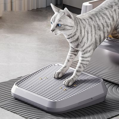 Cat Litter Ramp with Filter Function
