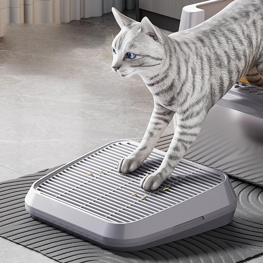 Cat Litter Ramp with Filter Function