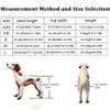 Adjustable Dog Wheelchair with Rear-Leg Support, Lightweight and Durable view 2