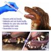 1 Piece Pet Oral Repair Gel Pen view 3