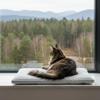 PRASKA Cat Window Perch 70 x 28 cm, Soft Cat Bed for Windowsill, Bottle Green view 4