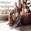 Adjustable Furniture Anti-Tip Straps for Child Safety view 2