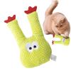 Cactus Cat Toy view 1