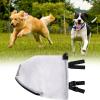 Breathable Face and Tail Protection Mesh for Dogs view 3