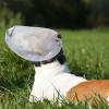 Dog Tail Cover, Hooded Mesh Protection Against Thorns and Stones view 2