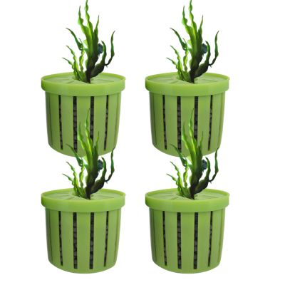 Aquarium Plant Holder