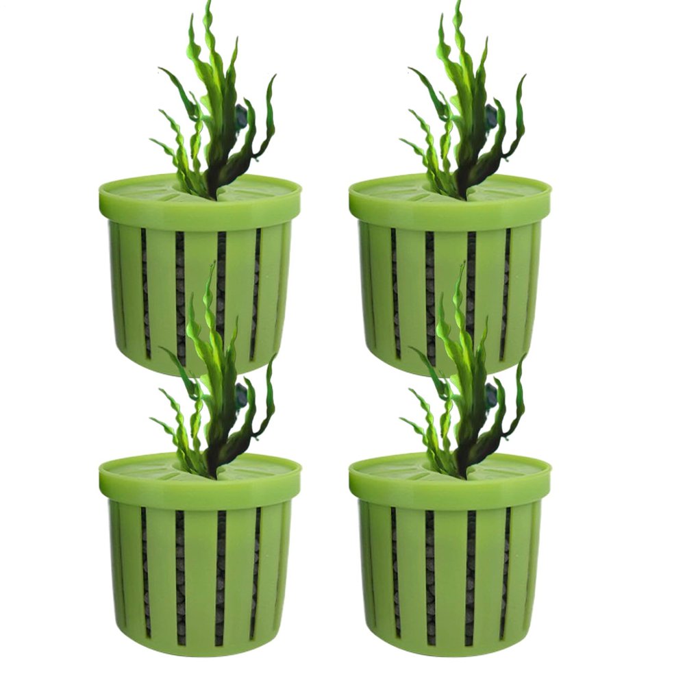 Aquarium Plant Holder
