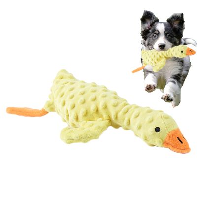 Dayysiuy Squeaky Dog Toy