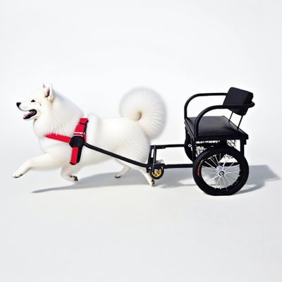 Dog Pull Cart with Seat, Removable Extended Trailer for 10–60 kg Dogs