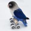 Bird Skate Toy view 3
