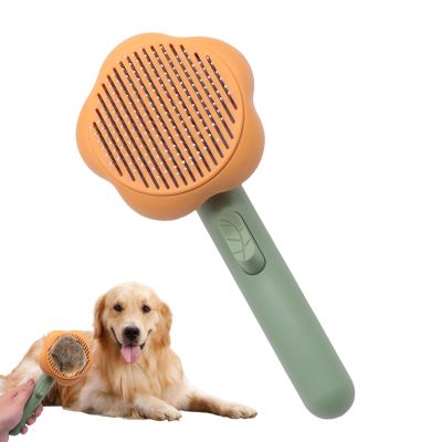 Acunny Cat Brush for Indoor Use