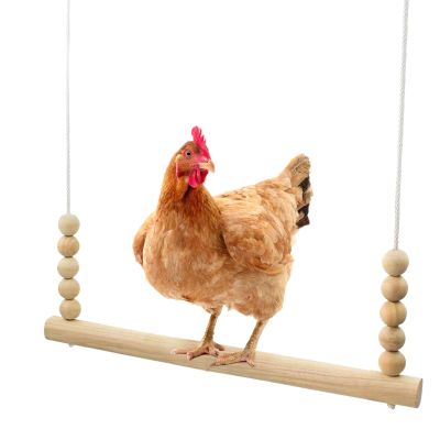 Chicken Coop Swing: Stable, Safe & Interactive