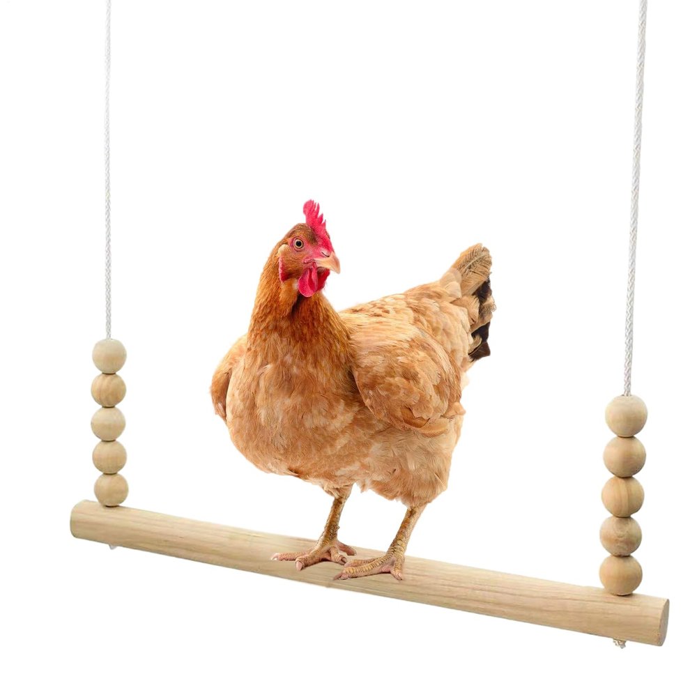 Chicken Coop Swing: Stable, Safe & Interactive