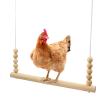Chicken Coop Swing: Stable, Safe & Interactive view 1