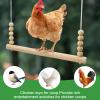 Chicken Coop Swing: Stable, Safe & Interactive view 2