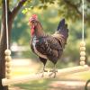Chicken Coop Swing: Stable, Safe & Interactive view 3
