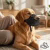 IUSOT Dog Muzzle for Small to Medium Dogs view 2