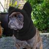 Luieonm Dog Winter Hat view 2