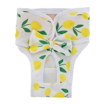 Aymzbd Washable Dog Diapers for Female Dogs, Leakproof, Elastic Waist, Size M