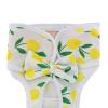 Aymzbd Washable Dog Diapers for Female Dogs, Leakproof, Elastic Waist, Size M view 2