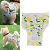 Aymzbd Washable Dog Diapers for Female Dogs, Leakproof, Elastic Waist, Size M view 3