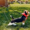 Befeixue Adjustable Dog Urine Collection Kit view 2