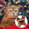 Dog Hoodie - Reindeer Costume, Cold Weather Apparel for Pets view 2