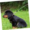 Dog Leash with Stainless Steel Hook and PVC, Silver view 3