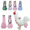 Pet Diaper for Poultry view 2