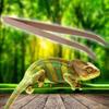 LUJIAXI 11-Inch Curved Tweezers for Reptiles view 4
