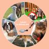 Dog Urine Collector with Telescopic Handle view 4