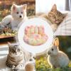 Small Sofa-Style Dog Bed for Small Dogs and Toy Breeds view 3