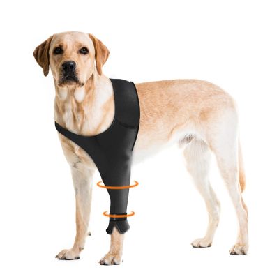 Pawfun Dog Recovery Sleeve for Front Legs, Single Anti-Lick Sleeve
