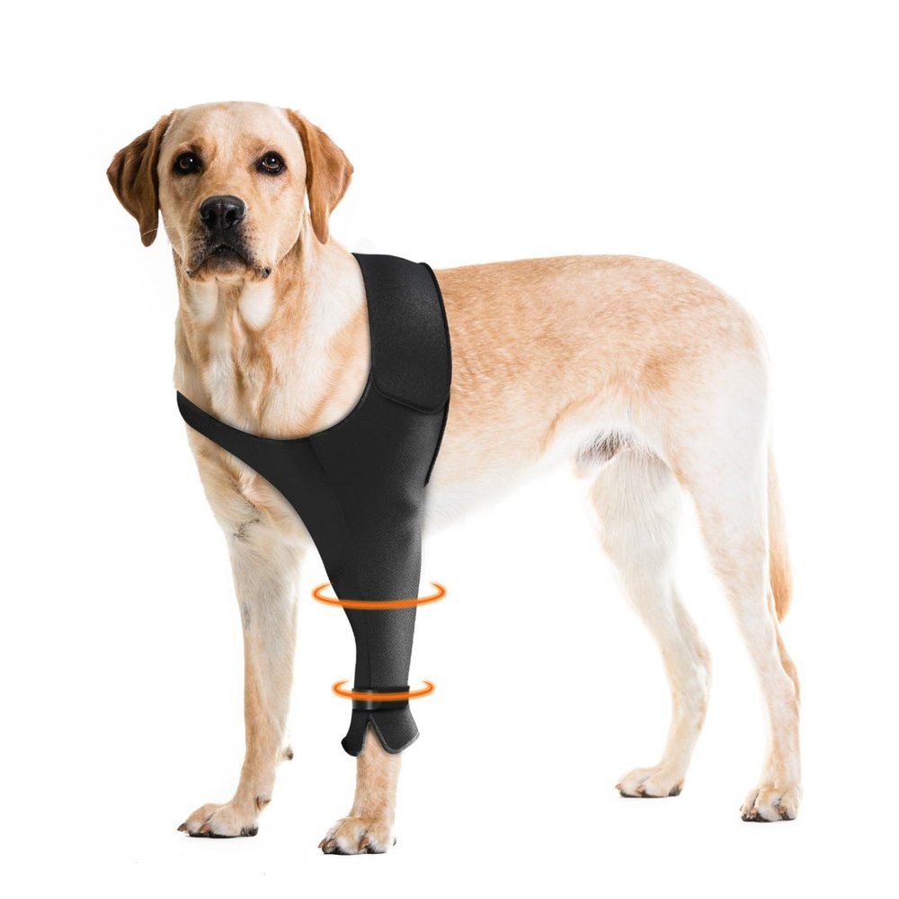 Pawfun Dog Recovery Sleeve for Front Legs, Single Anti-Lick Sleeve