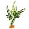 TOGEVAL Artificial Reptile Plants for Terrariums view 1