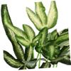 TOGEVAL Artificial Reptile Plants for Terrariums view 2