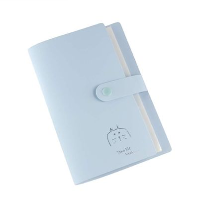 Portable Transparent Card Album