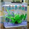 Generic Aquarium Spawning Mop, 10 Pieces, Floating Fish-Breeding Mops view 3