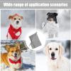 Calming Dog Snood - Winter Ear Protection view 3