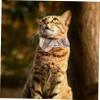 Adjustable Plaid Cat Collar view 2