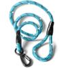 rootsnoot Classic Dog Leash view 1