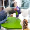 Hiemible Bird Play Stand view 2