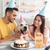 3-Piece Dog Toothbrush Set for Large, Medium, and Small Dog Breeds view 2