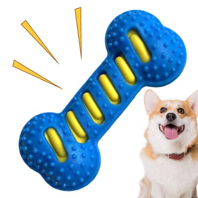 Fenayuu Dog Squeaky Toy - Bone-Shaped Chew Toy