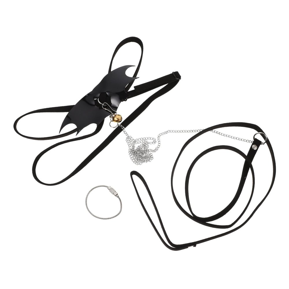 BESTonZON Reptile Leash